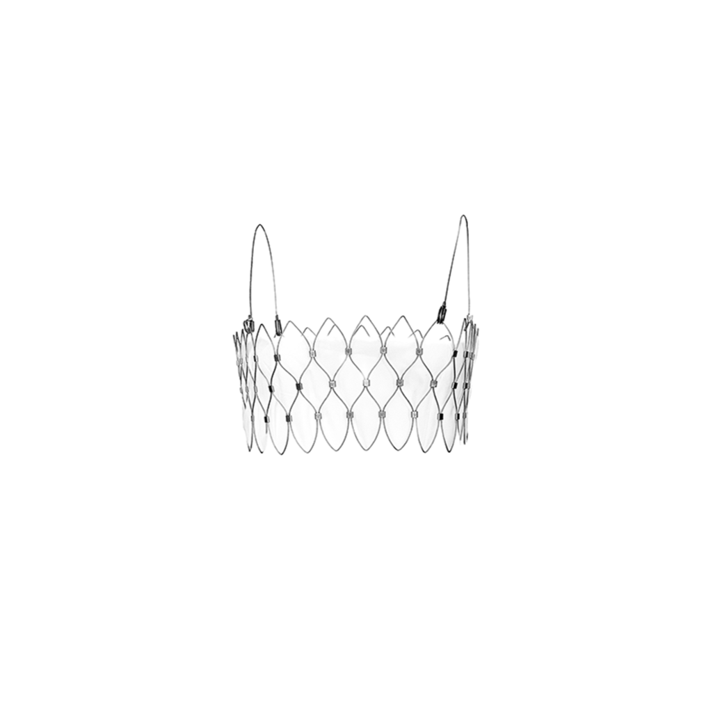 Exo Bra