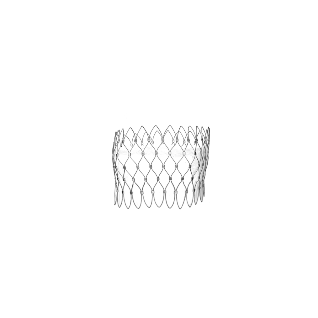 Exo Belt