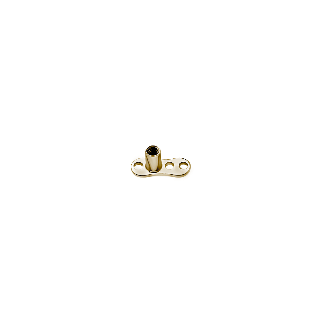 Dermal Anchor Base - Internally Threaded