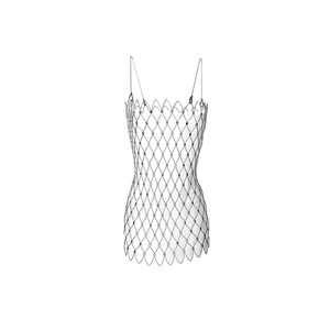 Exo Mini Dress