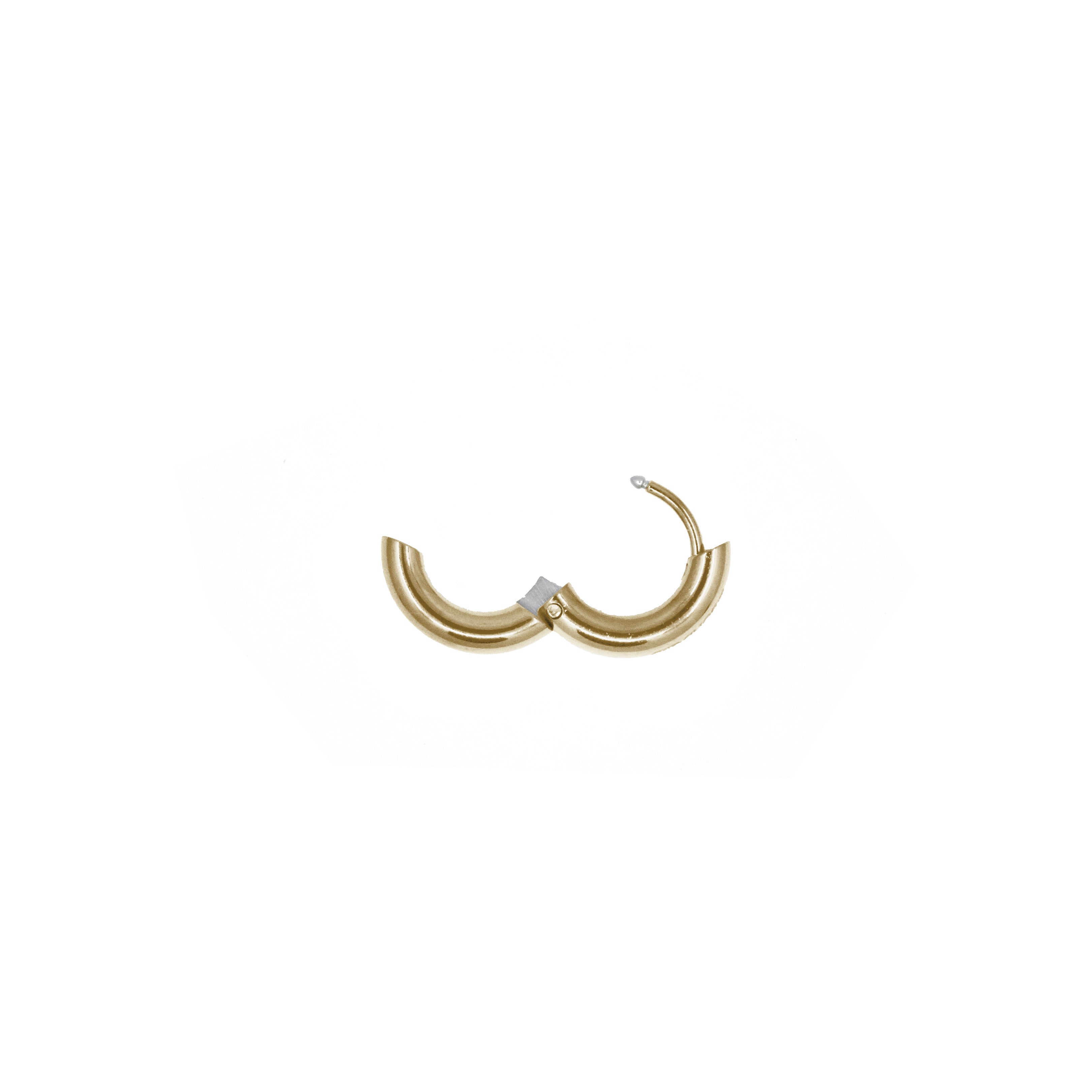Mini Chunky Hoop
